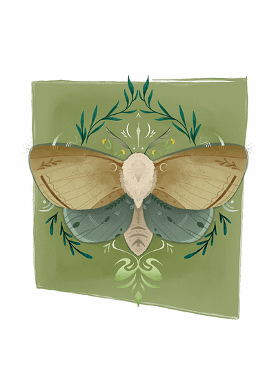 Magic moth animal fairytale illustration posterdesign procreate