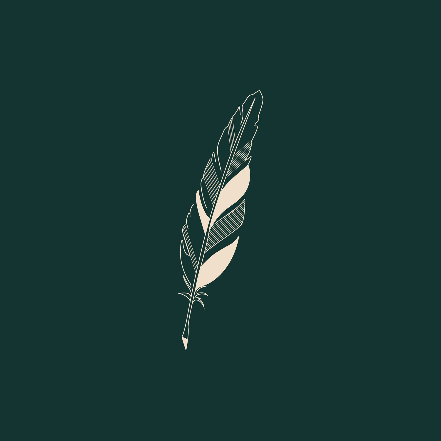 Feather by Katie Fitzgerald on Dribbble