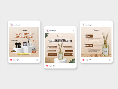 Scentary | Social Media Design brand branding campaign design graphic design instagram layout marketing social media social media design