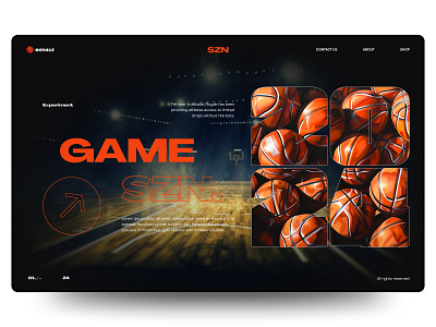 Royale - Sports Store Website branding design graphic design landing page shopify sports store ui web design