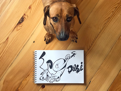 Daki cartoon character characterdesign dachshund dog drawing fun spovv