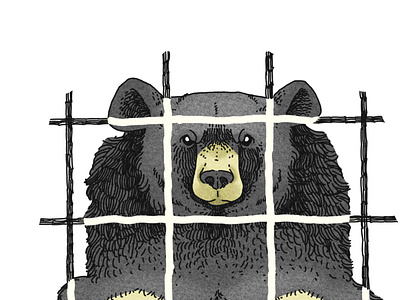 Moon Bear Illustration animal animal illustration bear conservation editorial editorial illustration wildlife wildlife illustration