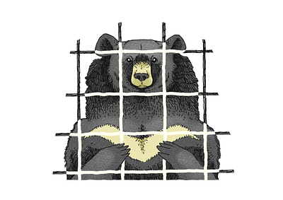 Moon Bear Illustration animal animal illustration bear conservation editorial editorial illustration wildlife wildlife illustration