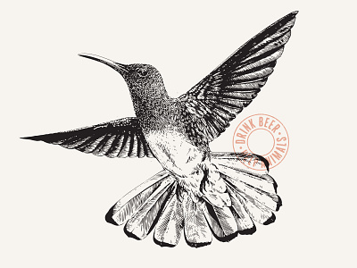 Hummingbird Illustration bird brewery can design hummingbird illustration