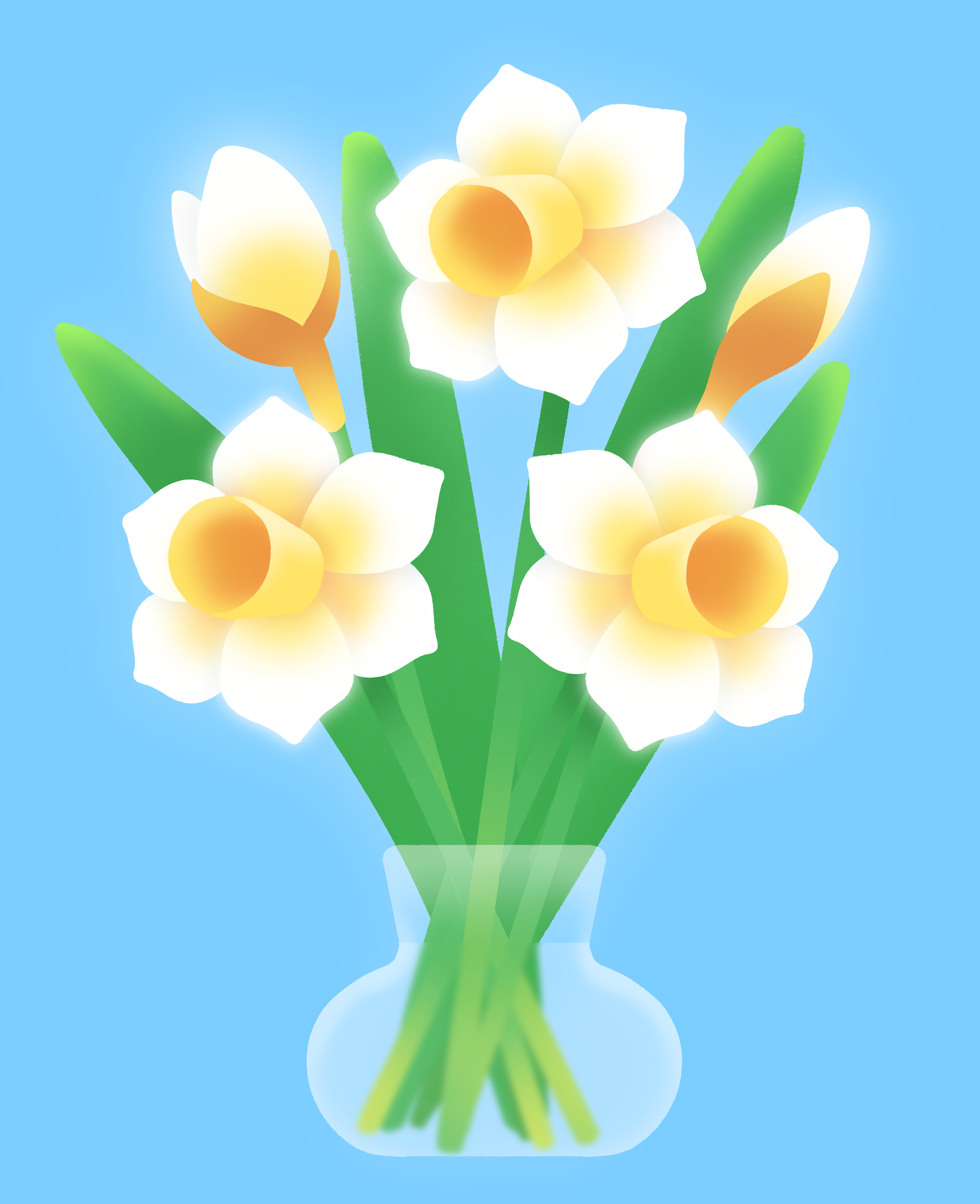 Narcissus adobe photoshop blue flowers green illustration spring