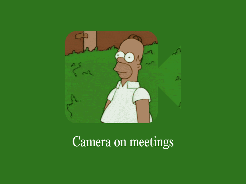 Camera on meme