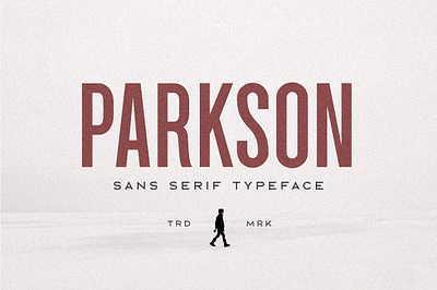 Parkson Sans Serif - 18 Fonts bebas neue bold classic compressed condensed contemporary display font fonts geometric grotesque header logotype movie parkson sans serif 18 fonts sans serif strong tall title typeface