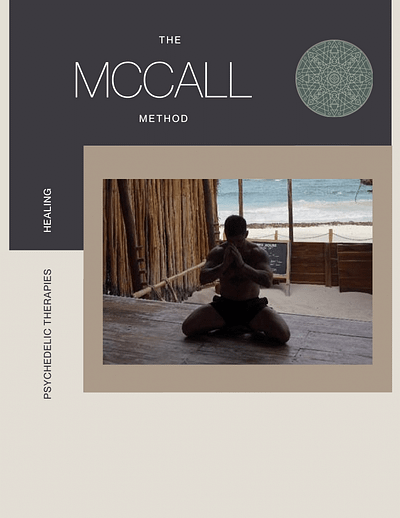 The McCall Method Pitch Deck branding design pitchdeck ui