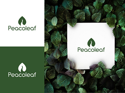 Peacoleaf branding graphic design illustration logo logo and branding mode vector