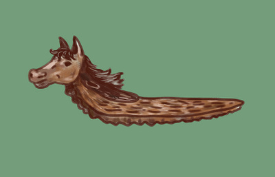 Horse-Slug (on light green bg) drawing horse hybrid illustration slug
