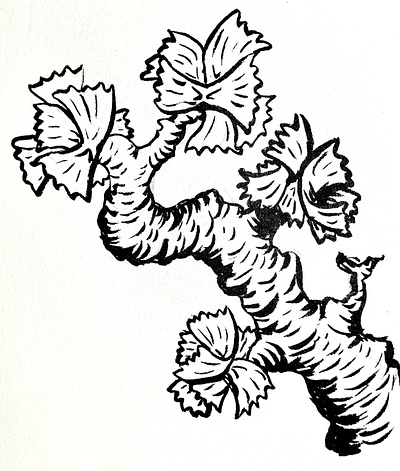 Noodle Tree - Farfalle (sketch) farfalle illustration noodle noodletree sketch tree