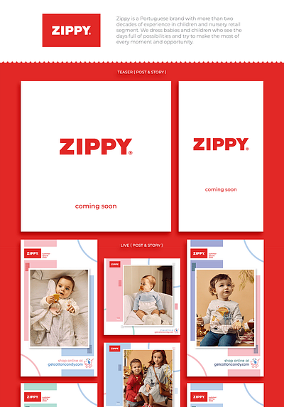 Zippy branding graphic design