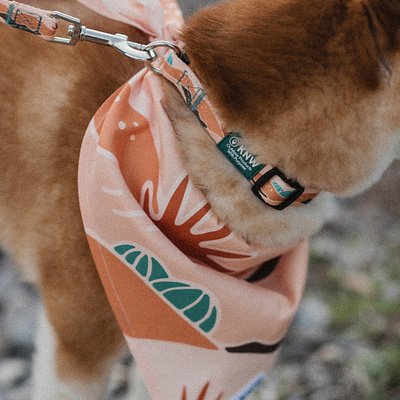 Pet Collection | Sonoran Bandana, Leash & Collar bandana branding collection graphic art graphic design hand drawn illustration nature pet print design product design