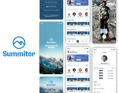 Summiter animation app design case casestudy creative design graphic design idea illustration income expense mobile app case study ui