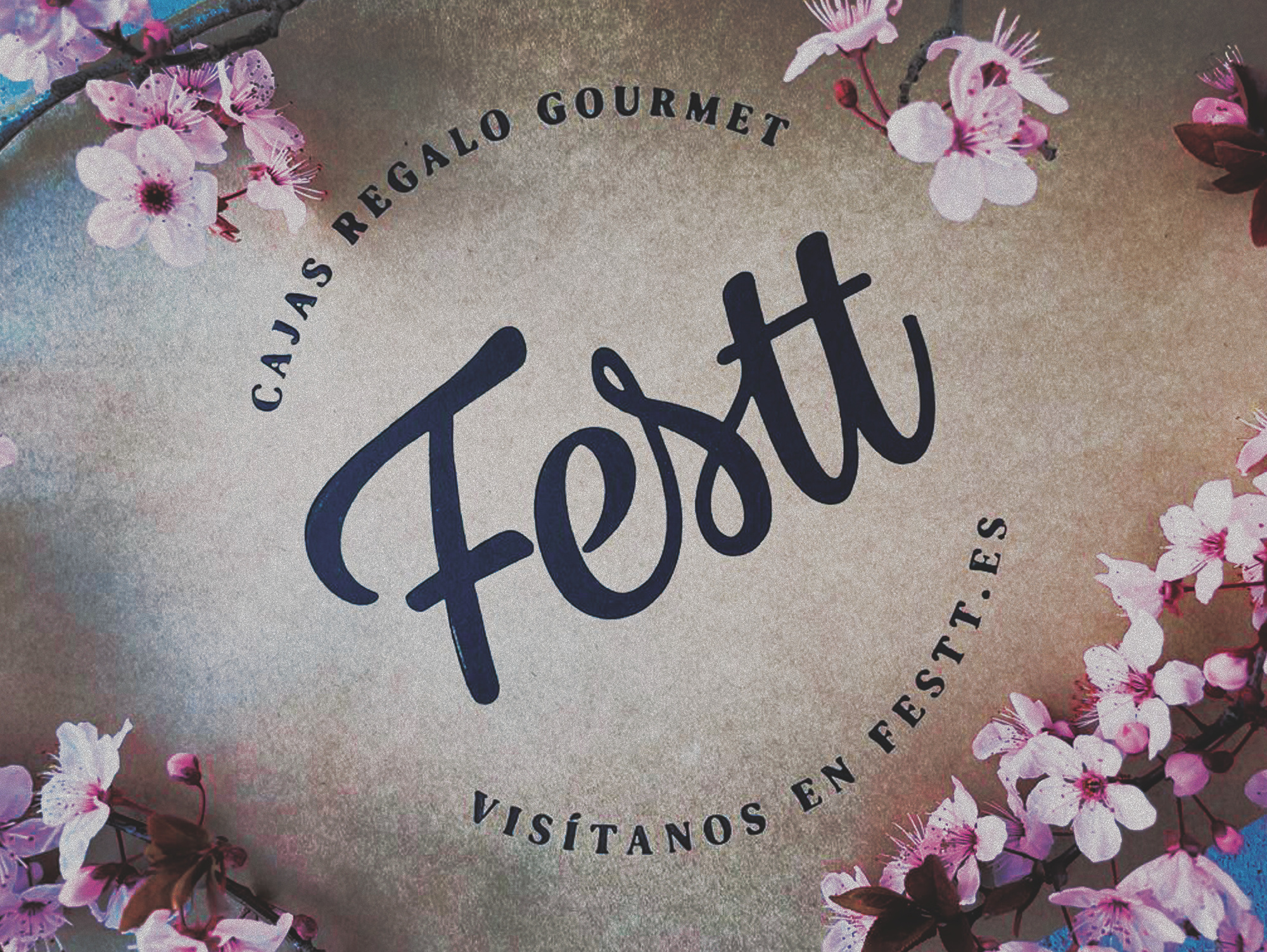 Festt branding graphic design logo ui