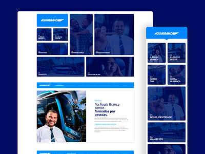Aguia Branca - Brand repositioning branding page uidesign uxdesign webdesign