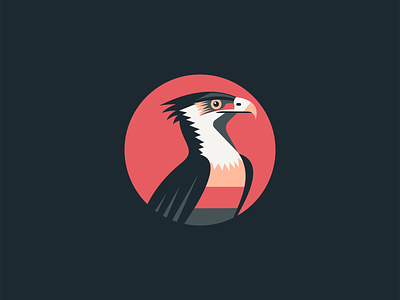Eagle Logo animal bird branding circular design eagle emblem freedom geometric icon identity illustration logo mark modern nature premium sports symbol vector