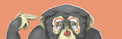 Chimpanzee Illustration animal animal illustration ape chimp chimpanzee conservation editorial editorial illustration monkey wildlife wildlife illustration