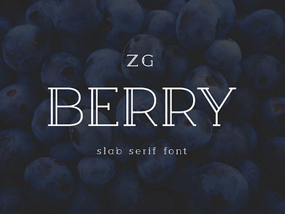 Berry Slab Serif Font berry slab serif font branding cool decorative display double font fun geometric headline inline logo modern poster retro serif slab serif title vintage