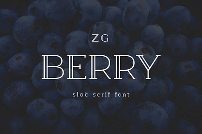 Berry Slab Serif Font berry slab serif font branding cool decorative display double font fun geometric headline inline logo modern poster retro serif slab serif title vintage