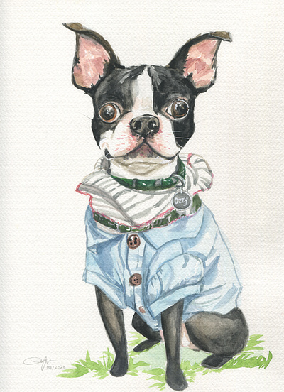 Costume pet portraits