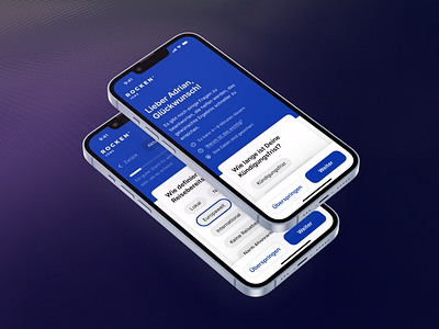 The Interview Form for Jobseekers app design ui