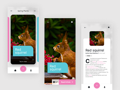 Animastory - A tale of little kingdom animal app elegant flat design mobile app modern pastel ui