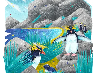Endangered Species series - Moseley's Penguin animal portrait digital illustration digital painting illustration nature art nature illustration penguins procreate procreate art procreate illustration wildlife art wildlife painting
