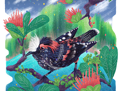 Endangered Species series - Akohekohe Bird animal portrait birds digital illustration hawaii hawaiian illustration nature nature illustration procreate procreate art procreate illustration procreate painting wildlife art wildlife illustration