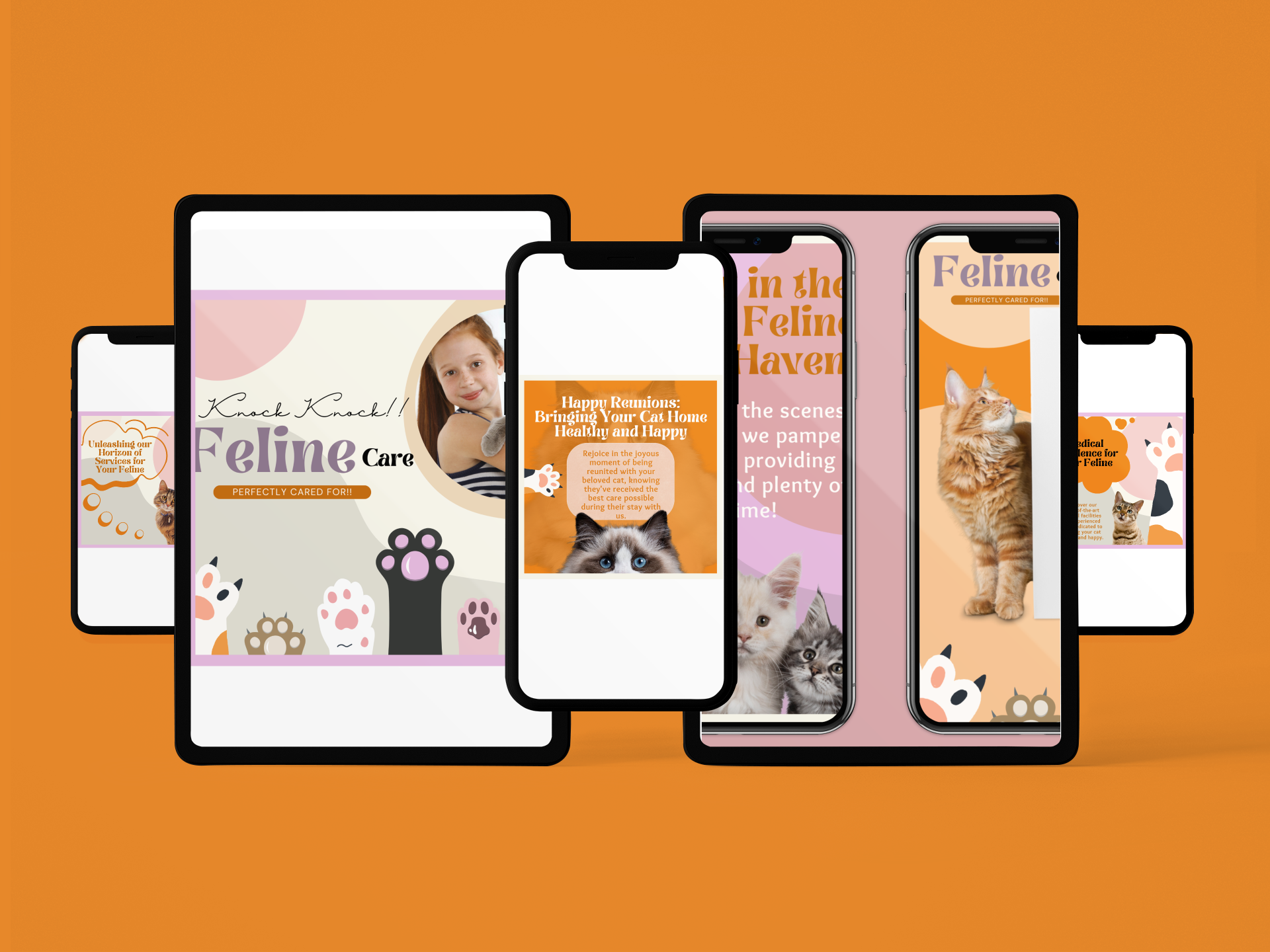 Minimal & Aesthetic Post Set for "FELINE Care" brand identity branding design designer designing graphic design graphic designer illustration logo post post set posts social media social media posts vector