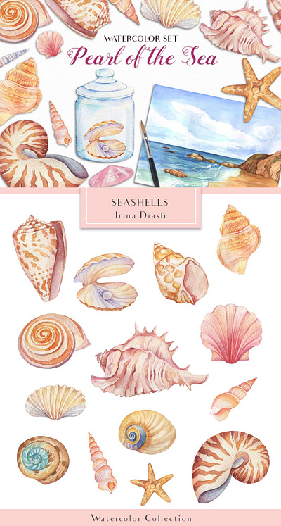 Pearl of the Sea - Watercolor Collection clip art design illustration logo ocean sea shell shells star fish watercolor