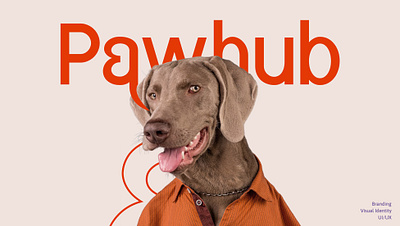 Pawhub - Petcare & Food Branding branding graphic design housesearchui logo pet food pet food branding propertyui realestatedesign ui