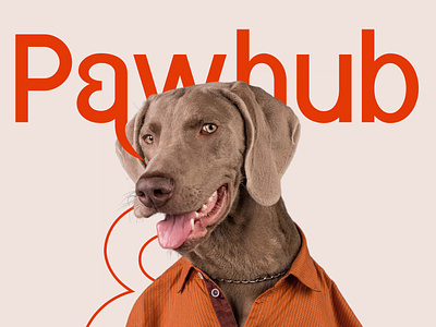 Pawhub - Petcare & Food Branding branding graphic design housesearchui logo pet food pet food branding propertyui realestatedesign ui