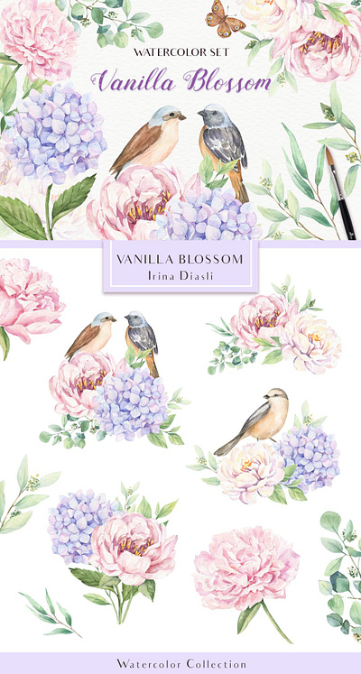 Vanilla Blossom - Watercolor Collection birds clip art design flowers hand drawn hydrangea illustration logo peony spring watercolor