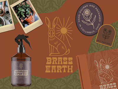 Brass Earth Branding brand identity branding cactus design hand lettered hand lettering illustration logo plants procreate
