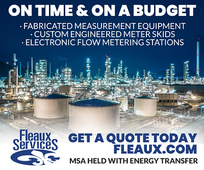 Fleaux Services Web Ad energy graphic design web ad