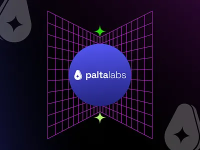 Palta Labs branding design graphic design ui ux website