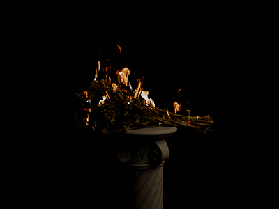 3D flower bouquet burned 3d art branding motion graphics ui