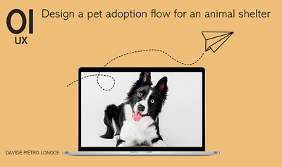 Design a pet adoption flow for an animal shelter app branding design graphic design illustration logo ui ux web