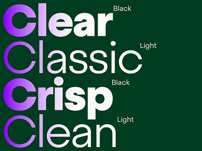 Steradian typeface branding emtype font graphic design logo sans type typography ui
