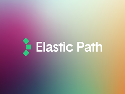 Elastic Path Color Palette b2b brand design branding branding agency color color palette focus lab gradient identity design