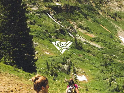 Lil Birdy adventure bird design graphic design icon illustration logo outdoor sports