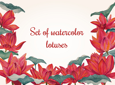 Watercolor colorful lotuses art design graphic design illustration lotus print watercolor