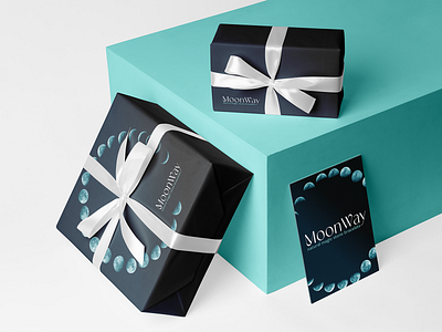 MoonWay Visual Brand Identity boxes box branding graphic design identity logo logotype vector