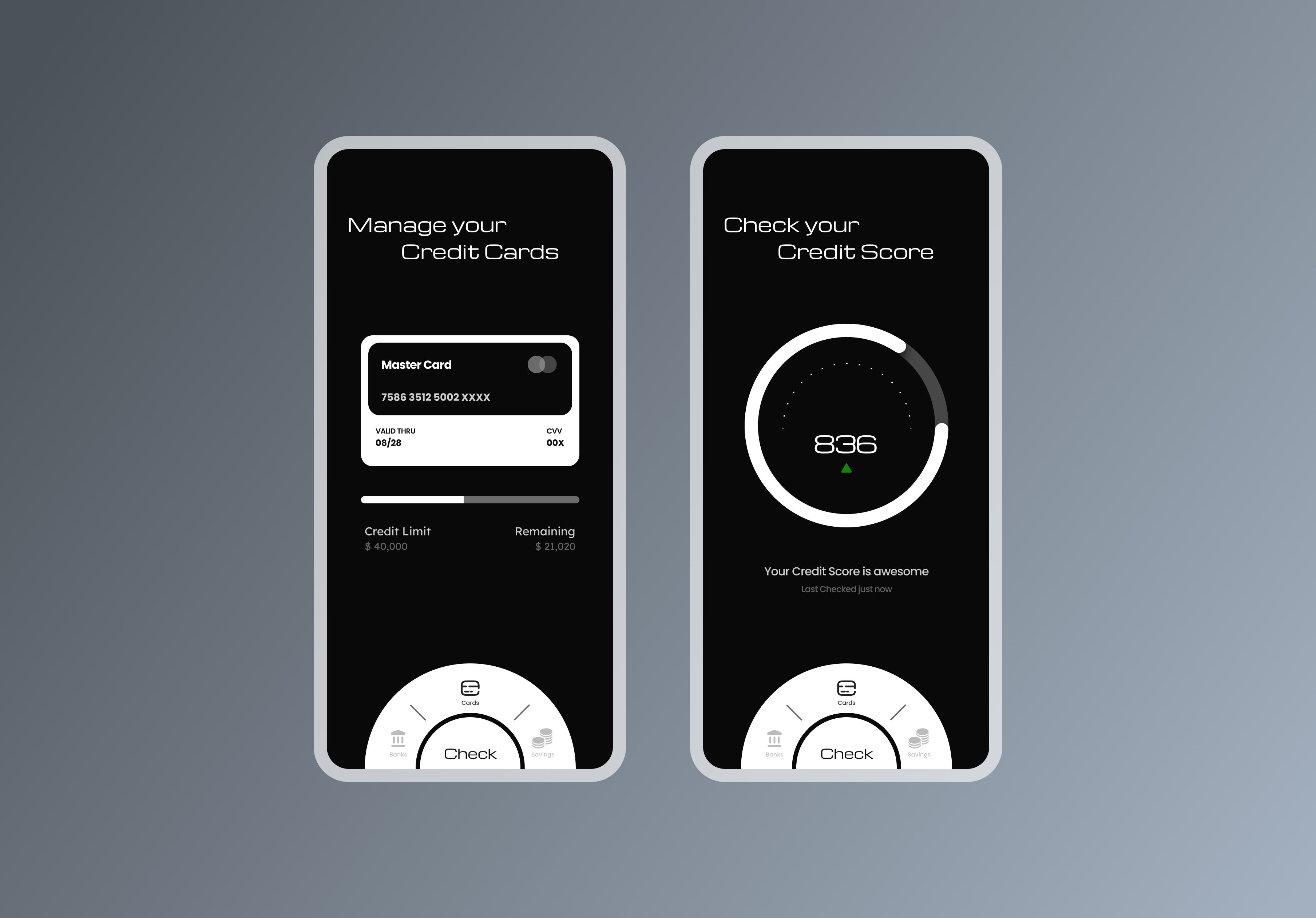 Check your credit score UI Design | Monochrome aesthetic bank banking black and white check credit score check score credit card credit score cybil score dial minimal modern money monochrome simple design ui design ui ux ux design white