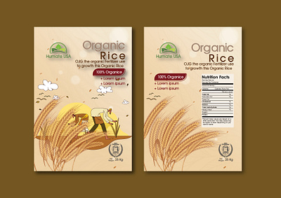 Premium rice bran oil package illustration cooking oil food oil natural oil oil bottle oil packaging paddy rice rice grain rice packaging rice plant rice seed