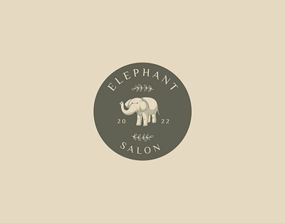 Elephant Salon 3d animation branding graphic design logo motion graphics ui