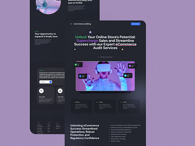 Ecommerce Auditing Landing page branding landing page tech ui ui ux ui design userexperiencedesign userinterface web design