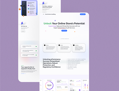 Ecommerce Auditing service Landing page 2 landing page ui user interface ux web design