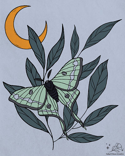 Magical Moth botanical illustration luna moth